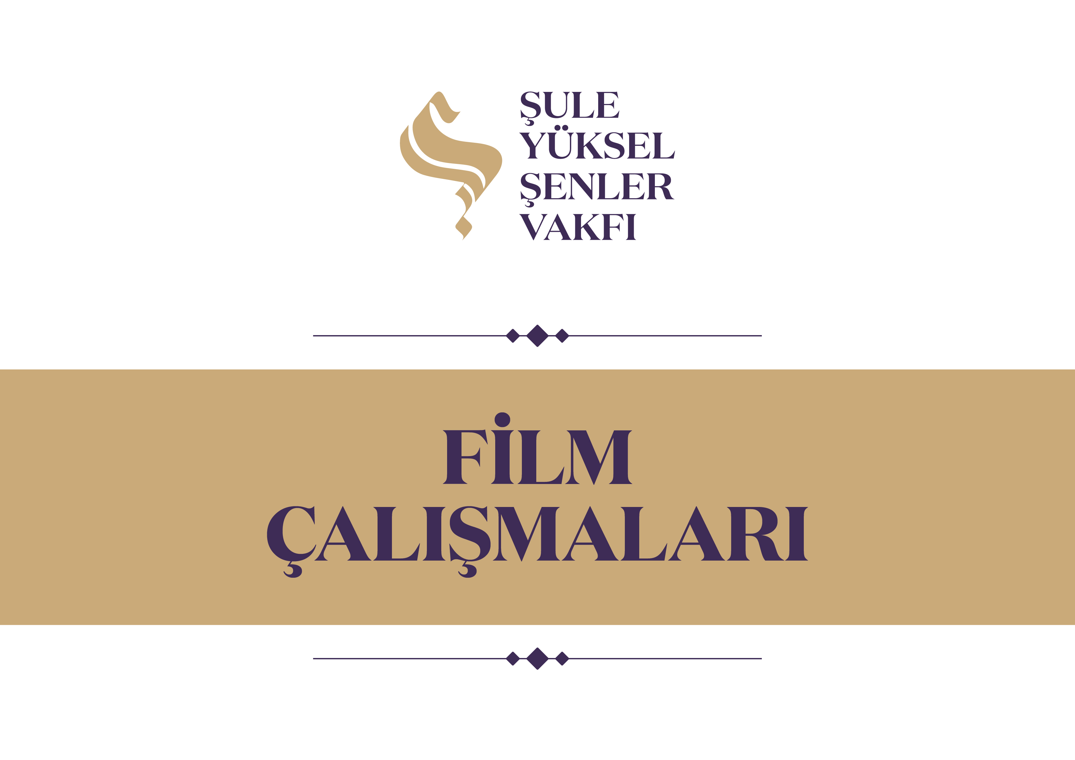 Film Çalışmaları