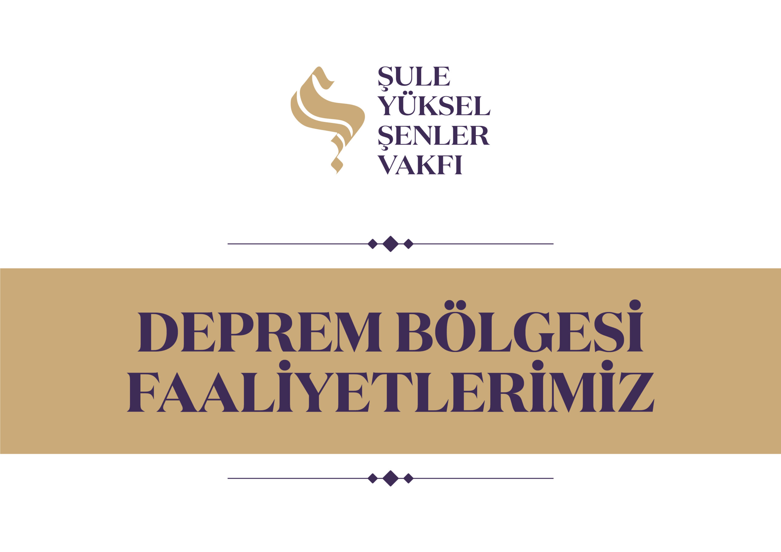 Film Çalışmaları