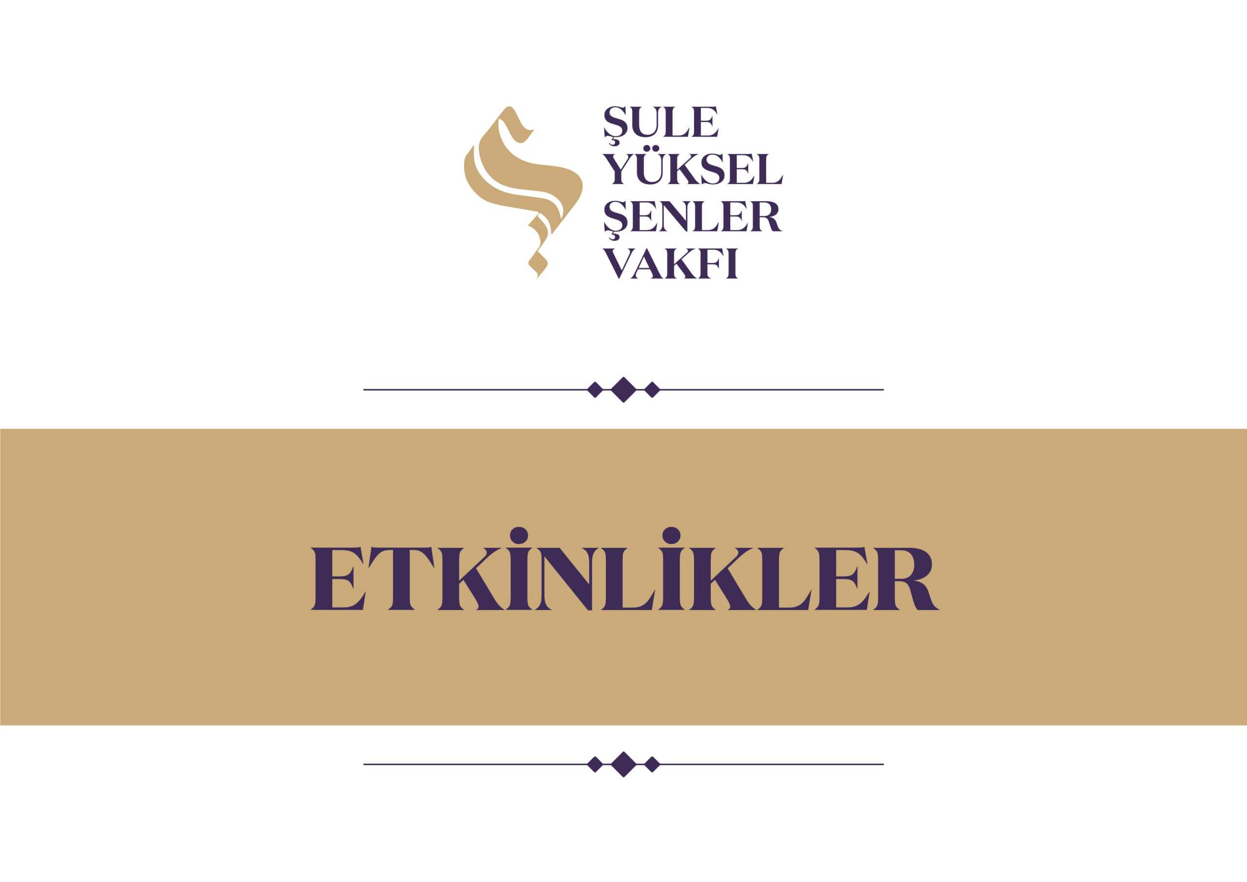 Film Çalışmaları