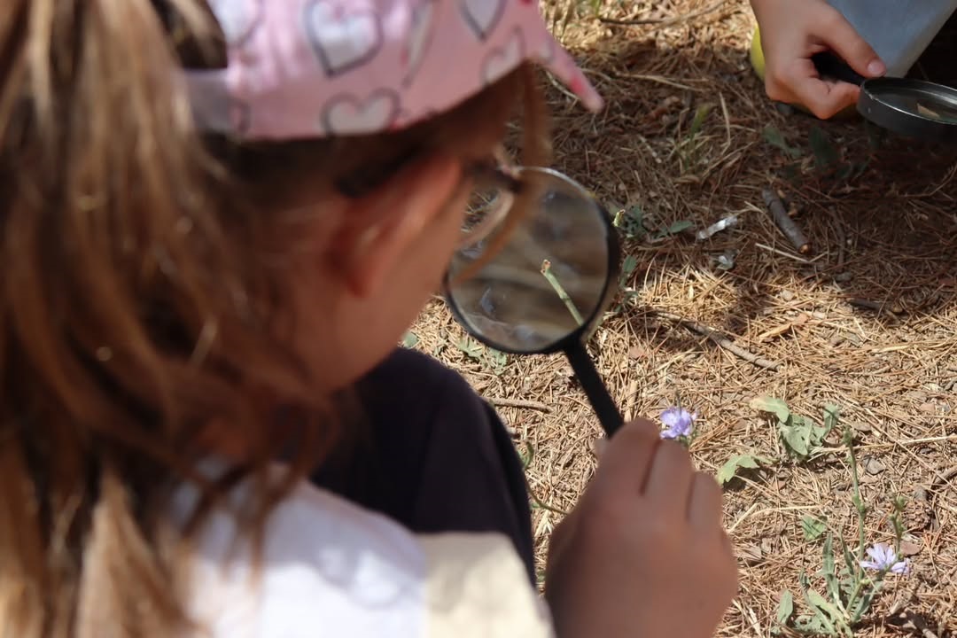 Şule Yüksel Şenler Vakfı Çocuk Yaz Okulu