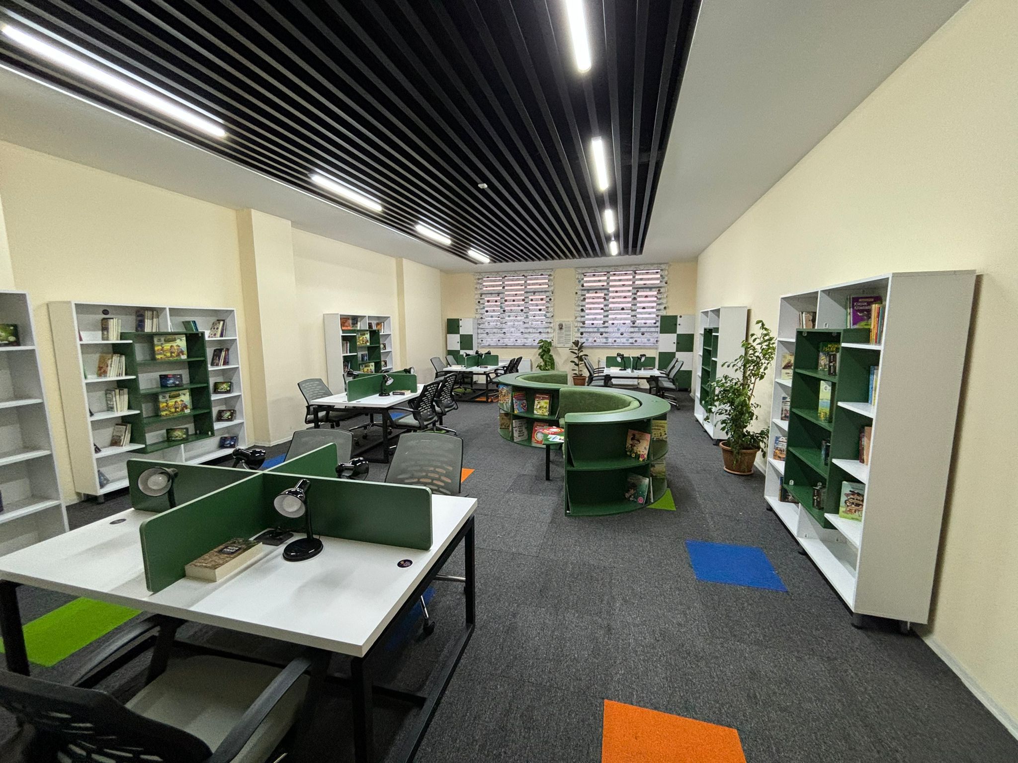 Şule Yüksel Şenler Okul Kütüphaneleri